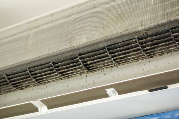 Best Residential Air Duct Cleaning  in Tropical Park, FL