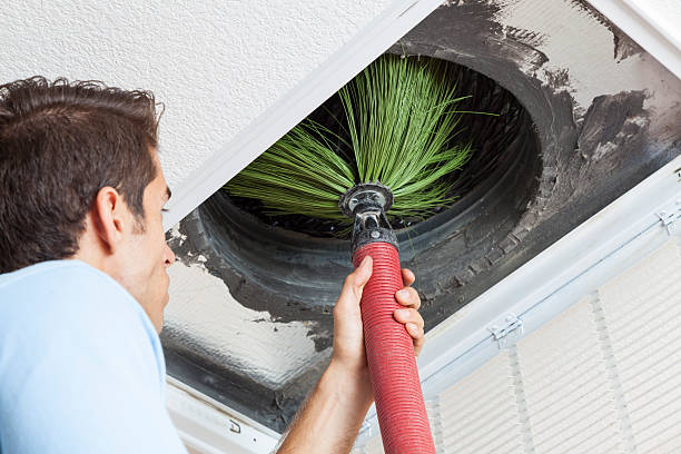 Best Air Duct Cleaning Company Near Me  in Tropical Park, FL