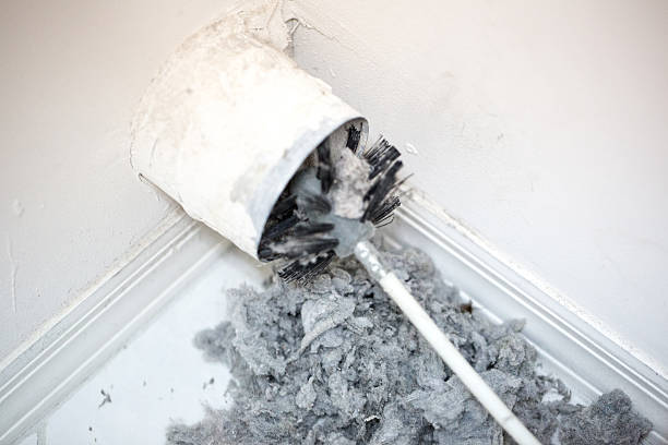 Best HVAC System Cleaning  in Tropical Park, FL